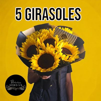 5 girasoles
