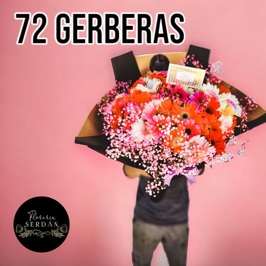 Ramo de 72 gerberas