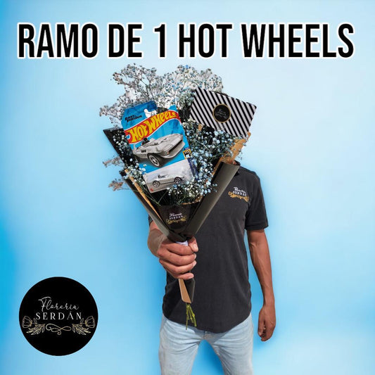 Ramo de 1 Hot Wheels