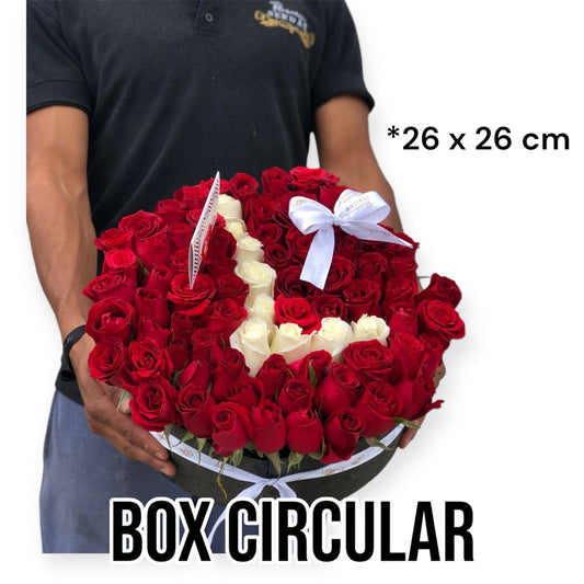 Box Circular